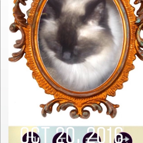 Meet your Posher, Lo - Picture 1 of 1